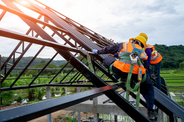 Best Shingle Roofing Installation  in French Island, WI