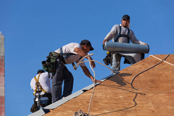 Best Sealant for Roof  in French Island, WI