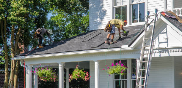 Best Storm Damage Roof Repair  in French Island, WI