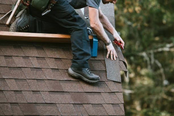 Best Roof Waterproofing Services  in French Island, WI